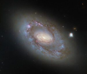 Hubble Space Telescope Reveals Stunning New Image of NGC 4102