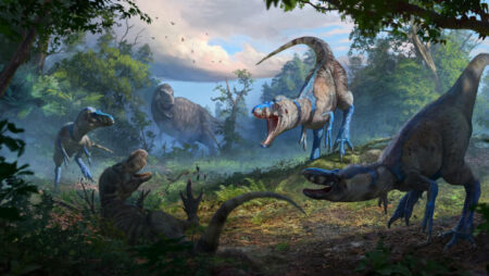New Research Uncovers Nanotyrannus as a Unique Dinosaur Lineage