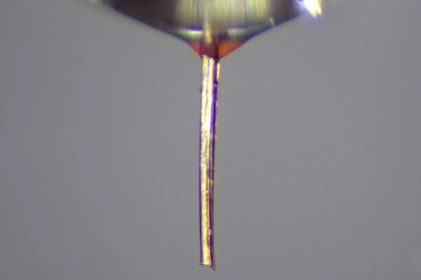 Repurposing a Mosquitos Proboscis as a Slim Nozzle for 3D