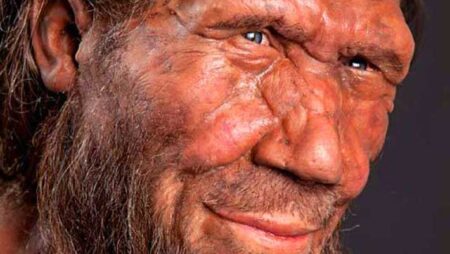 Researchers Explore Neanderthal DNA to Uncover Insights into Human Facial