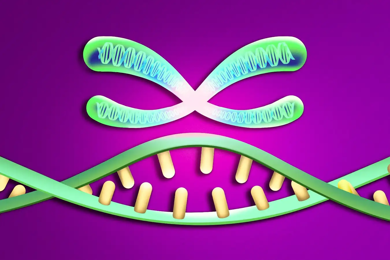 Sperm Are Self Serving—Just Like Us