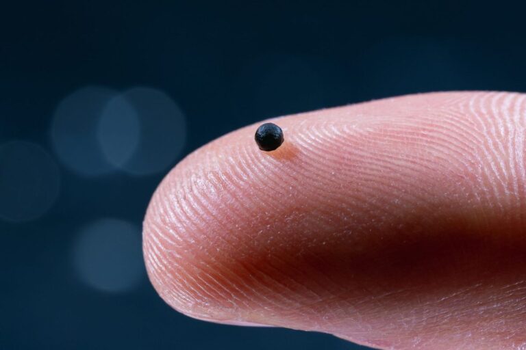 This Magnet-Driven Microrobot Will Soon Navigate Your Bloodstream This Magnet Driven Microrobot Will Soon Navigate Your Bloodstream