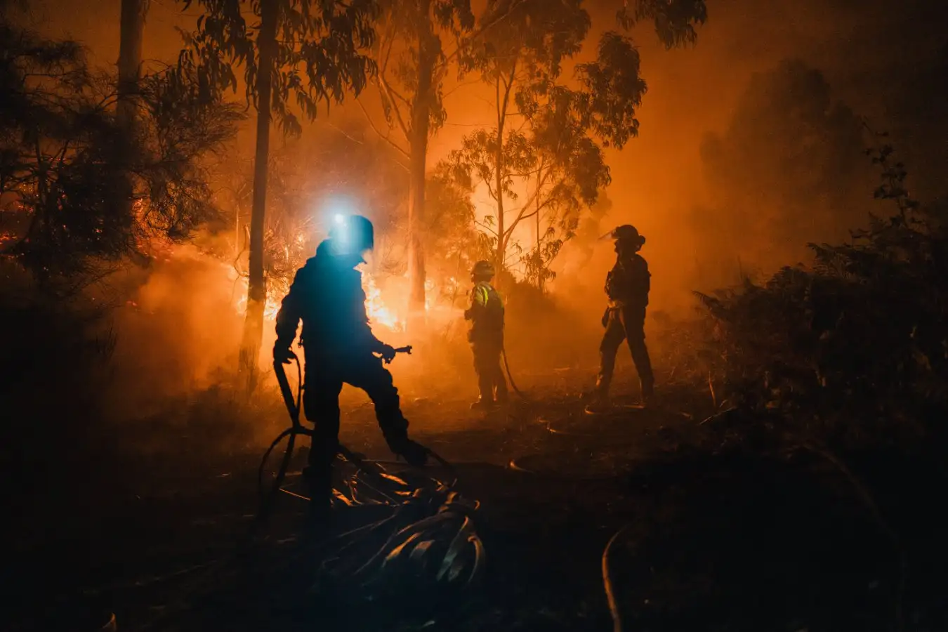 2025 Projected to be the Second Hottest Year on Record