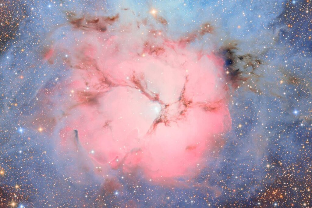 5 Inspiring Feel-Good Science Stories of 2025 That Will Make You Smile 5 Inspiring Feel Good Science Stories of 2025 That Will Make