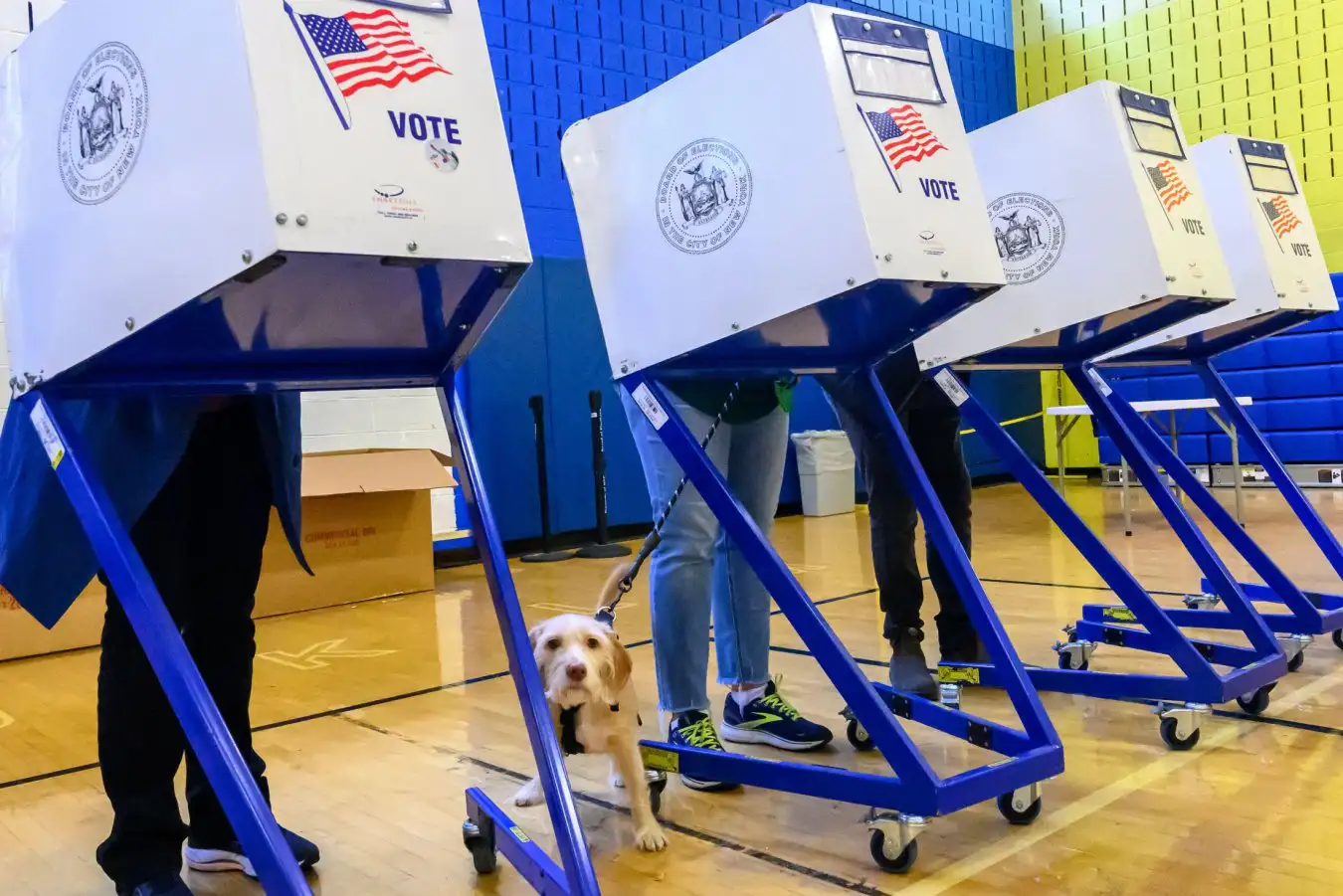 AIs Impact on Voter Sentiment Implications for Democracy