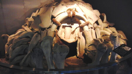 Ancient Mammoth Bone Dwelling Uncovered in Ukraine: 18,000-Year-Old Circular Structure Ancient Mammoth Bone Dwelling Uncovered in Ukraine 18000 Year Old Circular Structure