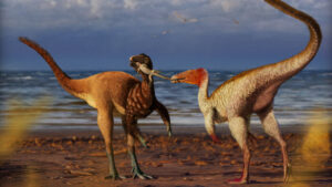 Coexistence of Two Coelurosaur Species in Cretaceous Brazil