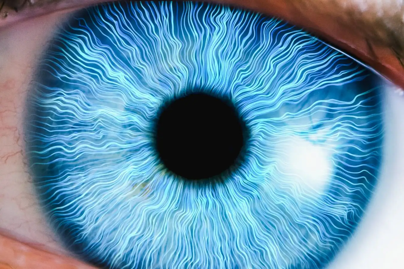 In 2025 Humanity Discovers New Colors for the First Time