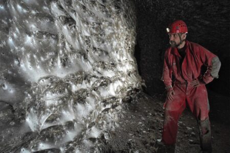 Newly Found Spider Web Traverses Two Countries Hosting 100000 Creatures