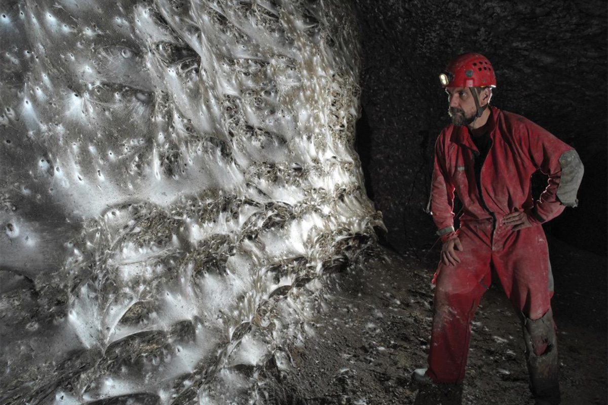 Newly Found Spider Web Traverses Two Countries Hosting 100000 Creatures