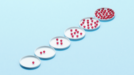 Researchers Share Index