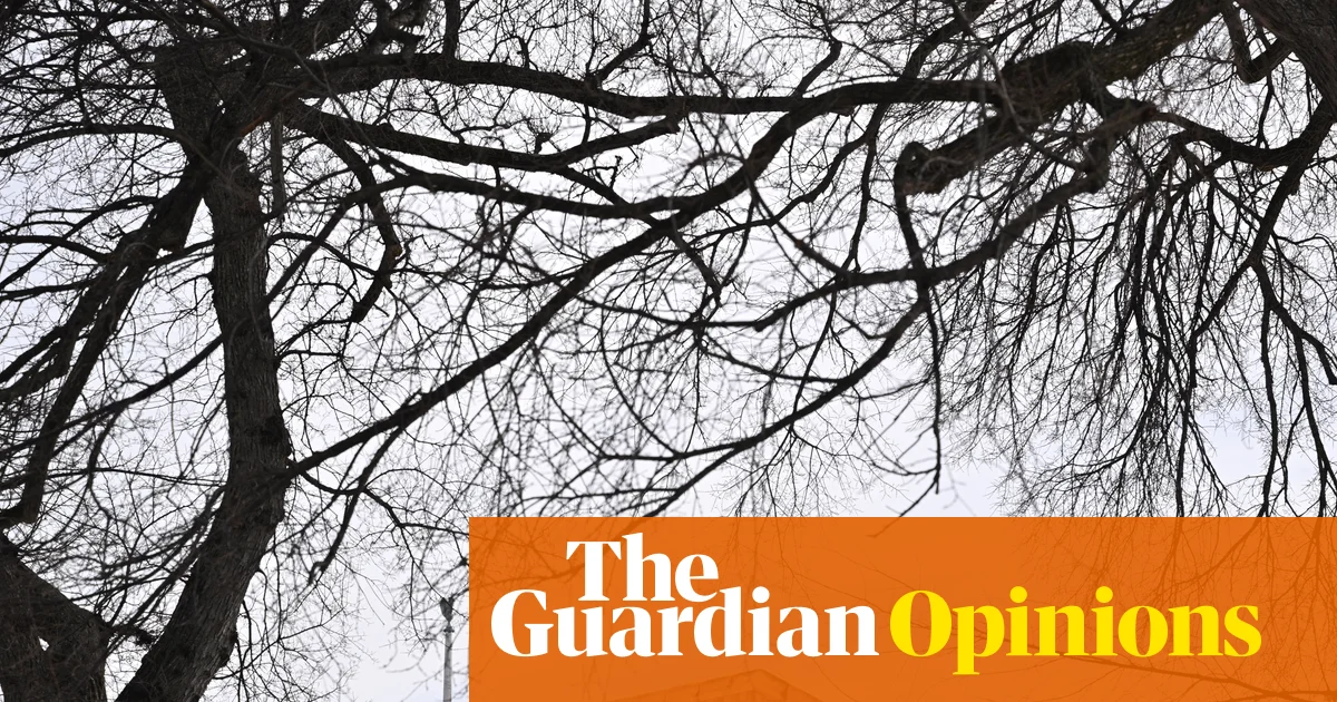 Scandalous Ruling US Supreme Courts Decision on TikTok Evelyn