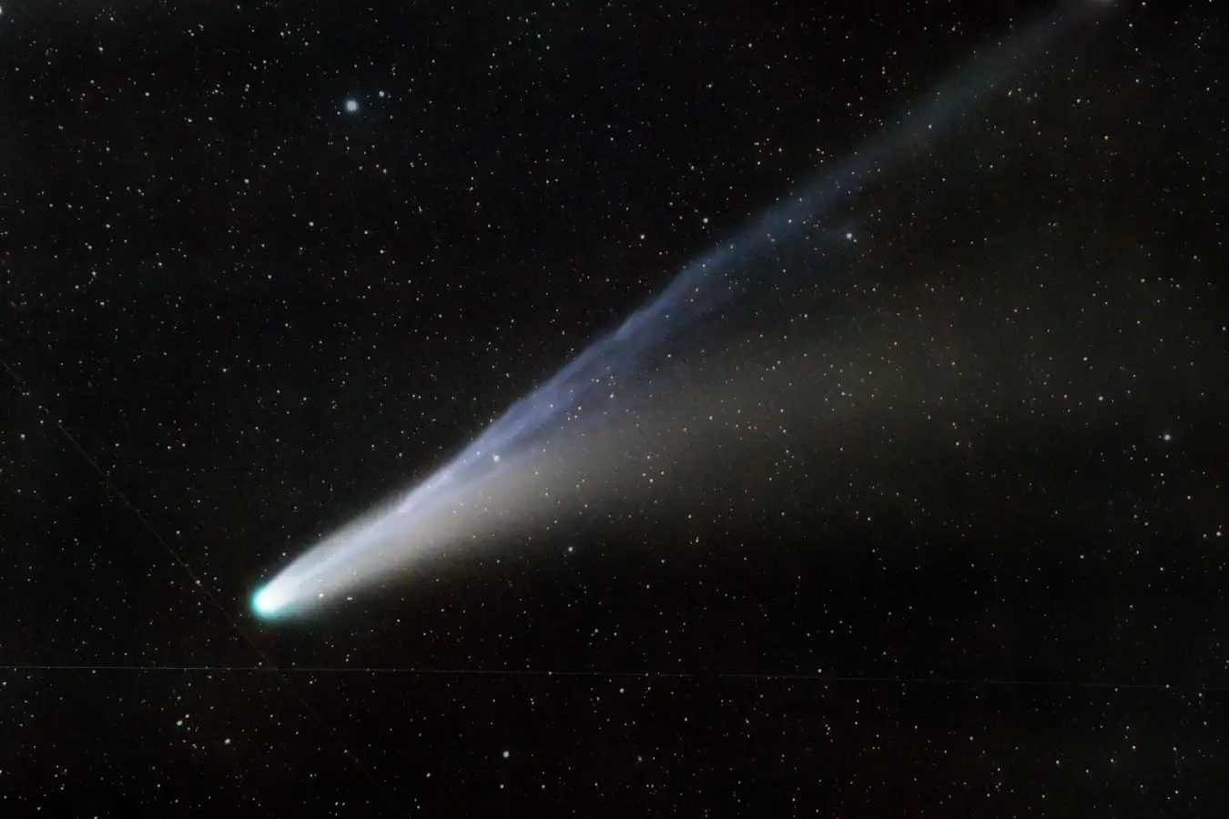 This Year, for Better or Worse, the Comet Blazed Bright. This Year for Better or Worse the Comet Blazed Bright