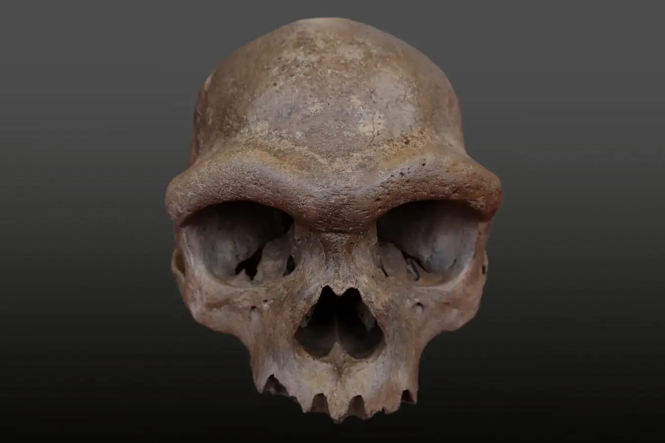 Unbelievable Archaeological Discoveries and Photos from 2025