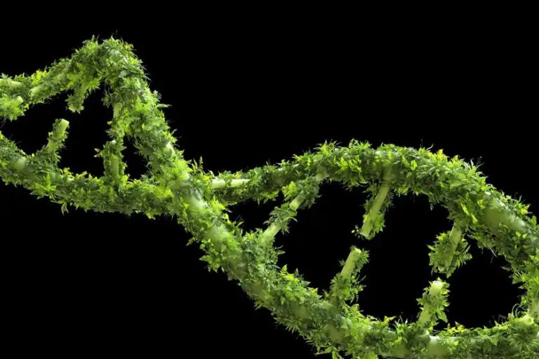 secrets of dark dna