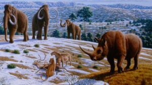 14400 Year Old Woolly Rhinoceros Genome Reveals No Signs of Recent Inbreeding