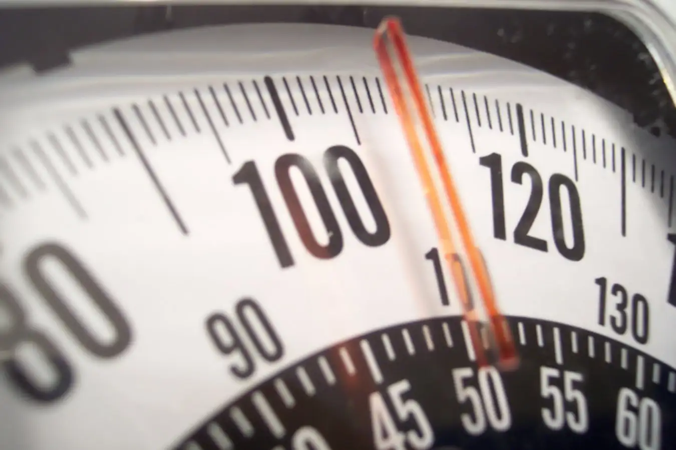 2026: The Next Landmark Year for Breakthrough Weight Loss Medications 2026 The Next Landmark Year for Breakthrough Weight Loss Medications