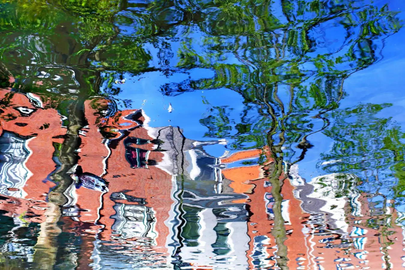 Discover Our Innovative Approach to Understanding the Nature of Reality