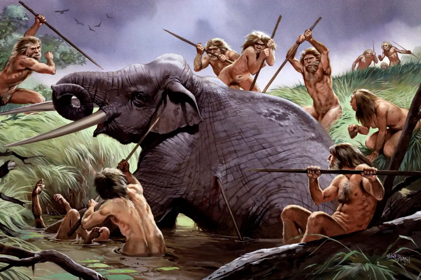 Evidence Suggests Early Humans Began Hunting Elephants 1.8 Million Years Ago Evidence Suggests Early Humans Began Hunting Elephants 18 Million Years