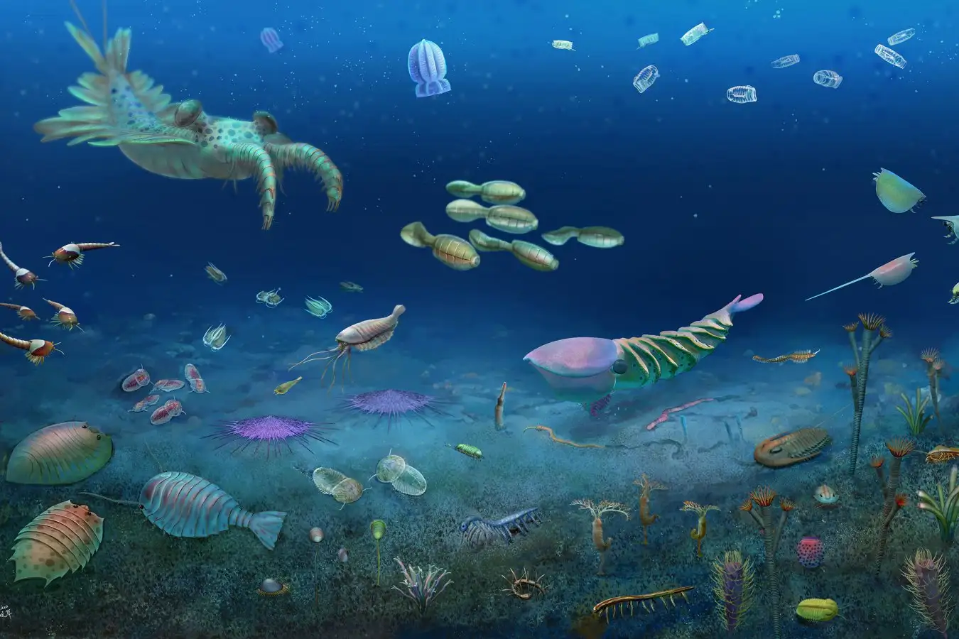 Massive Fossil Discovery Unearths 512 Million Year Old Ecosystem Treasures