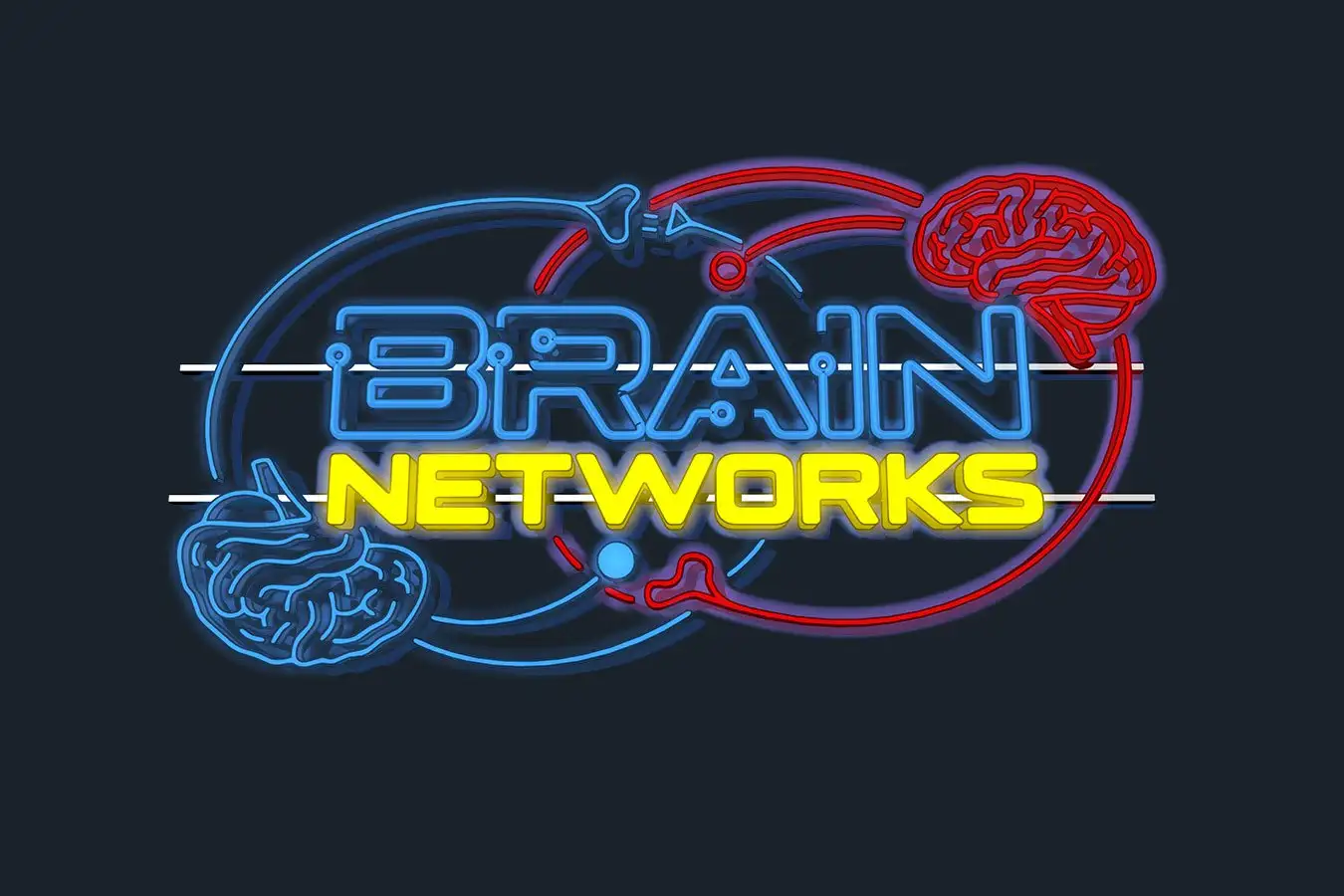 The Brains Vast Interconnectedness The Revolutionary Idea of the Century