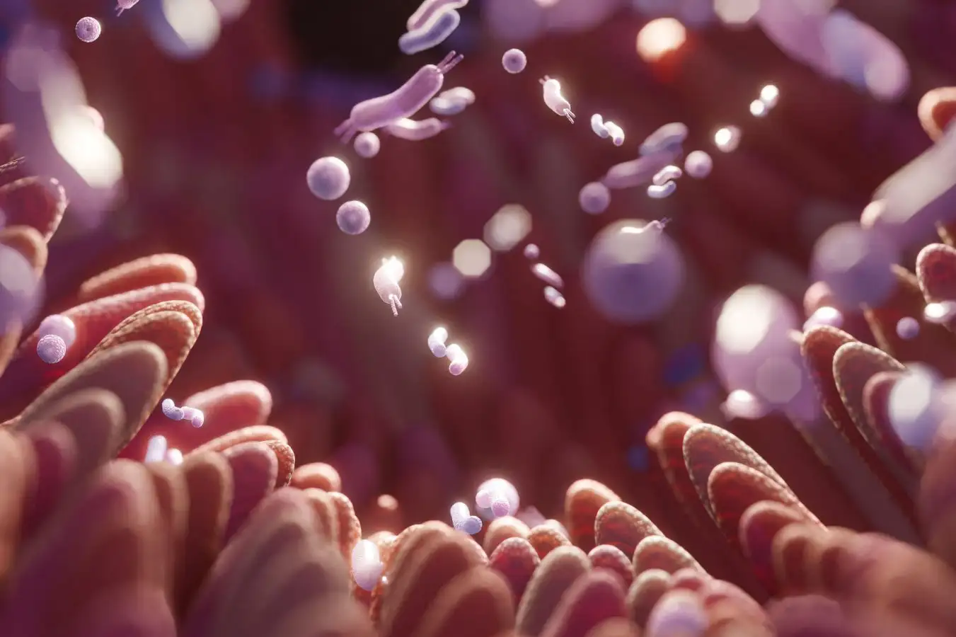 Unlock Better Sleep How Dietary Fiber and Microbiome Research Connect