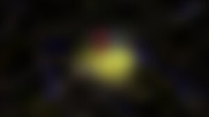 Webb Telescope Uncovers Most Distant Galaxy Yet Meet MoM z14