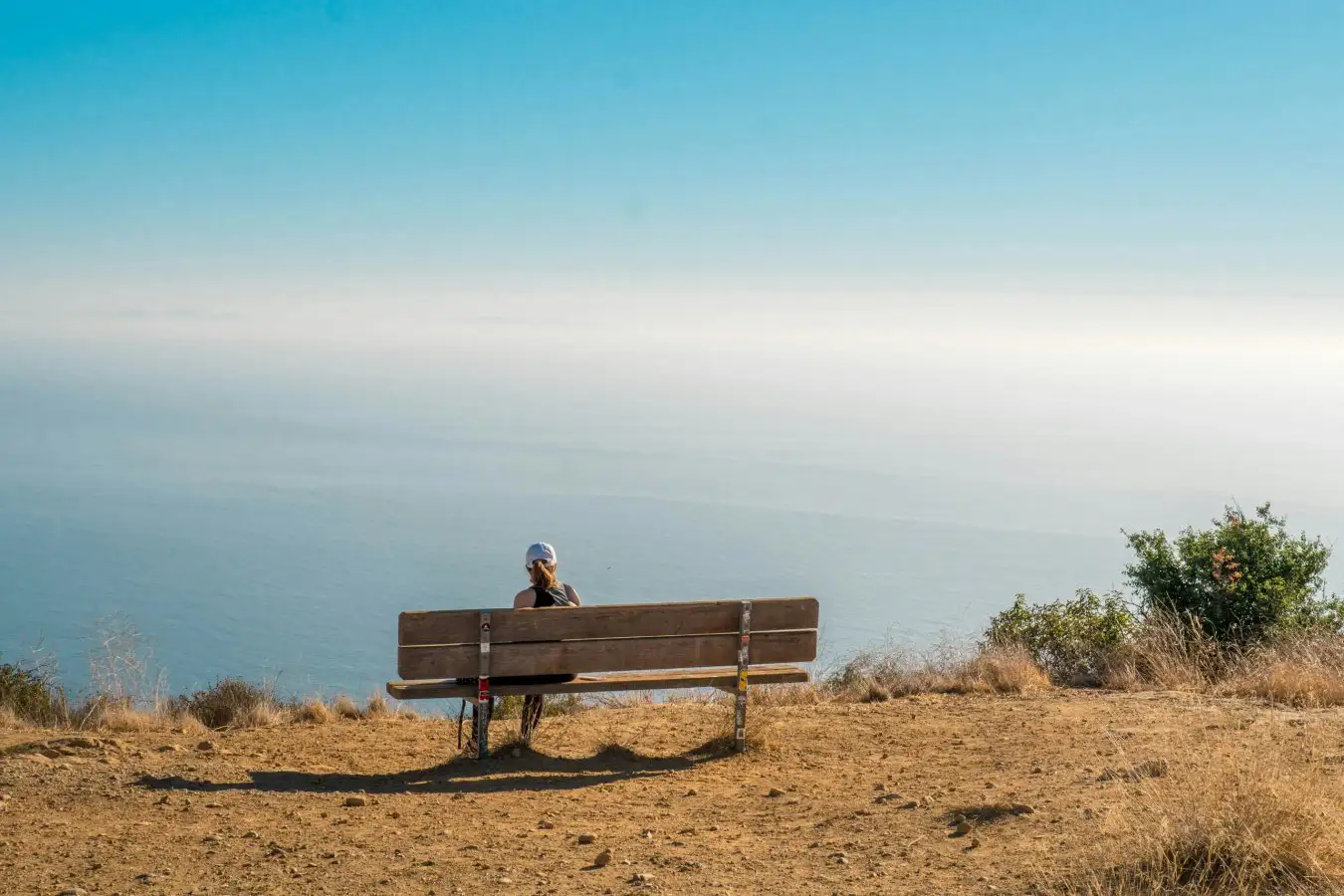 Why the Internet Feels Lonely Right Now Discover the Reasons