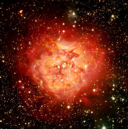 Chandra Telescope Unveils Newborn Star Cluster in the Cocoon Nebula