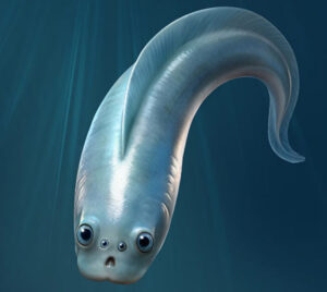 Discovering the Oldest Vertebrates Unveiling Four Camera Shaped Eyes