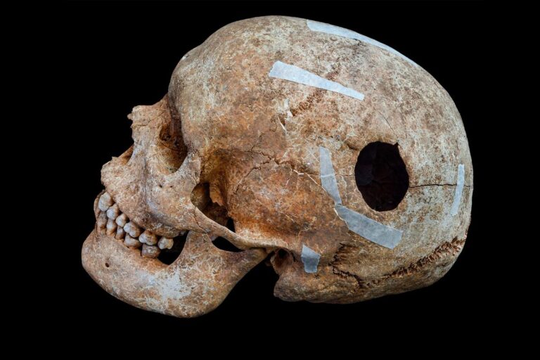 Disturbing Insights Exploring the Grisly Viking Execution Site