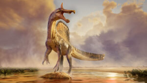 Exciting Discovery New Spinosaurus Species Unearthed in Niger