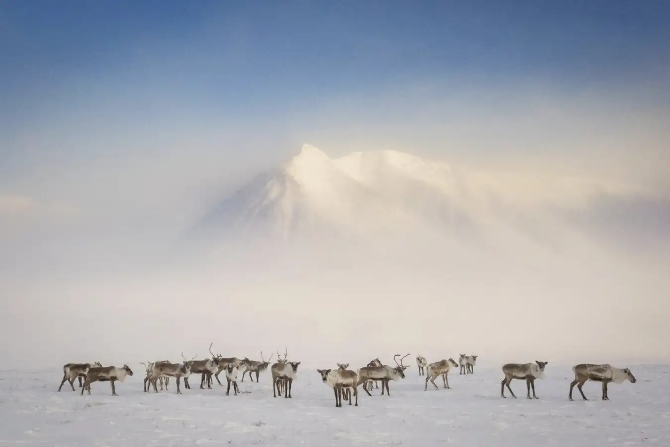 Frostline Review Why This Heartfelt Book Makes a Compelling Case