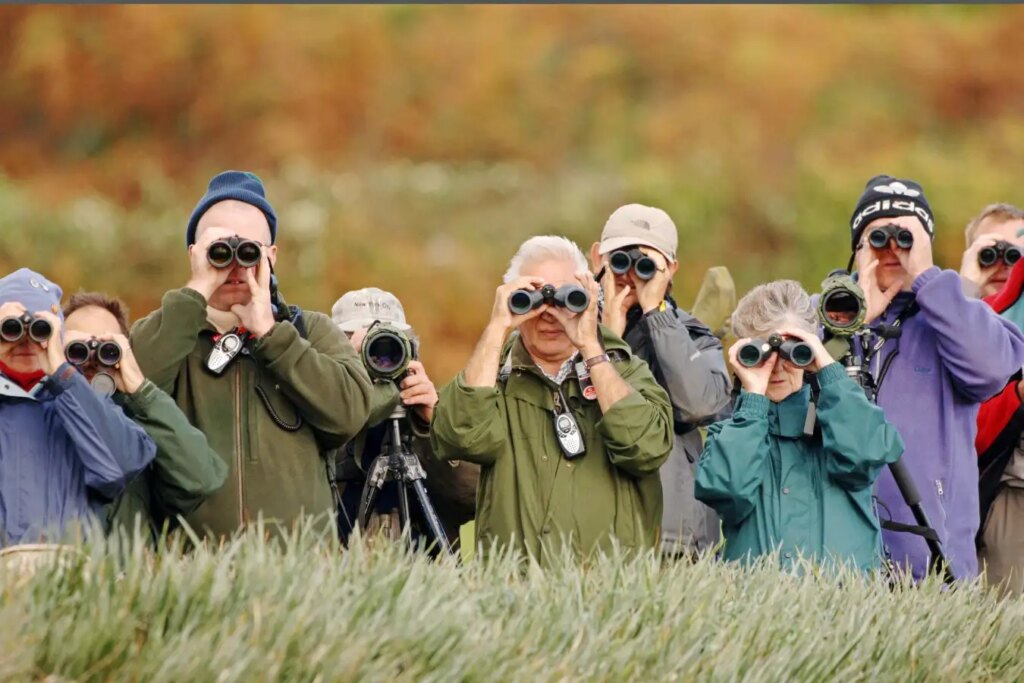 How Birdwatching Can Transform Your Brain and Combat Aging How Birdwatching Can Transform Your Brain and Combat Aging