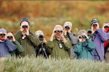 How Birdwatching Can Transform Your Brain and Combat Aging