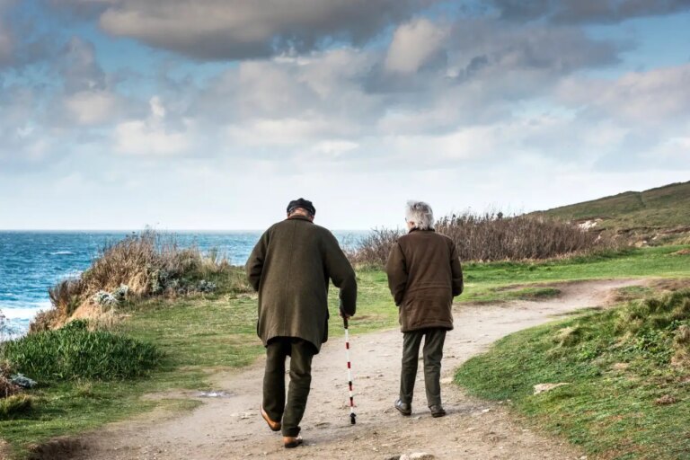 How Stem Cell Infusions from Young Donors Can Combat Frailty