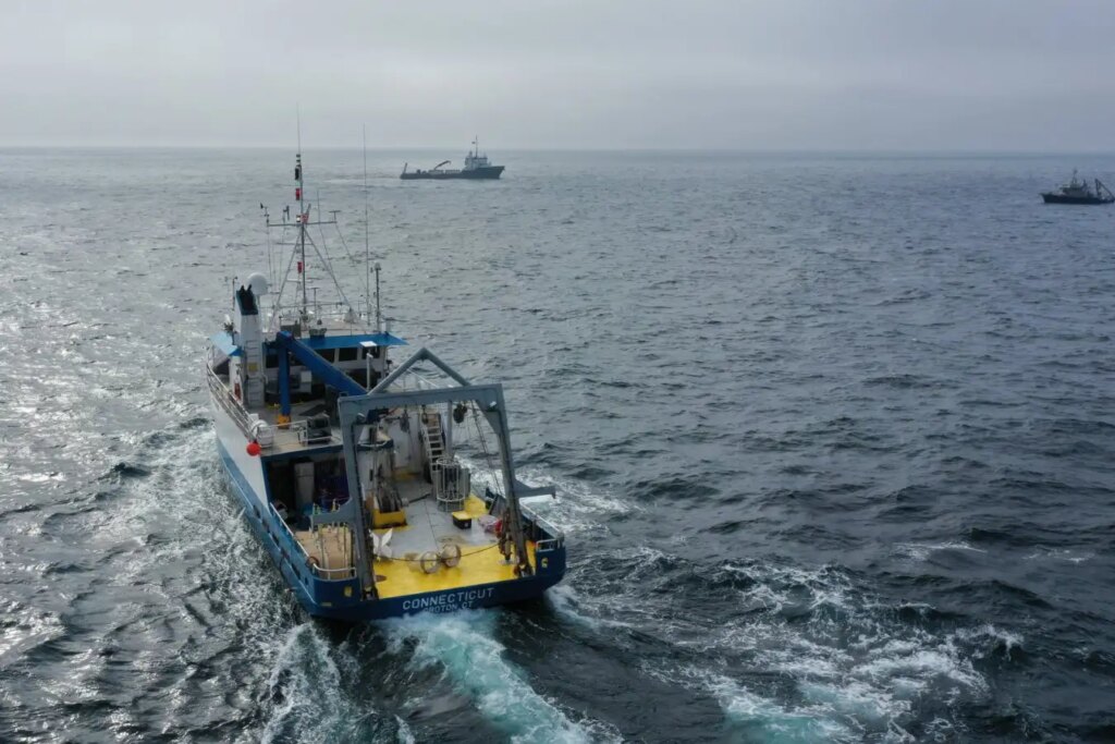 Marine Geoengineering Test Shows No Harm to Marine Life Findings