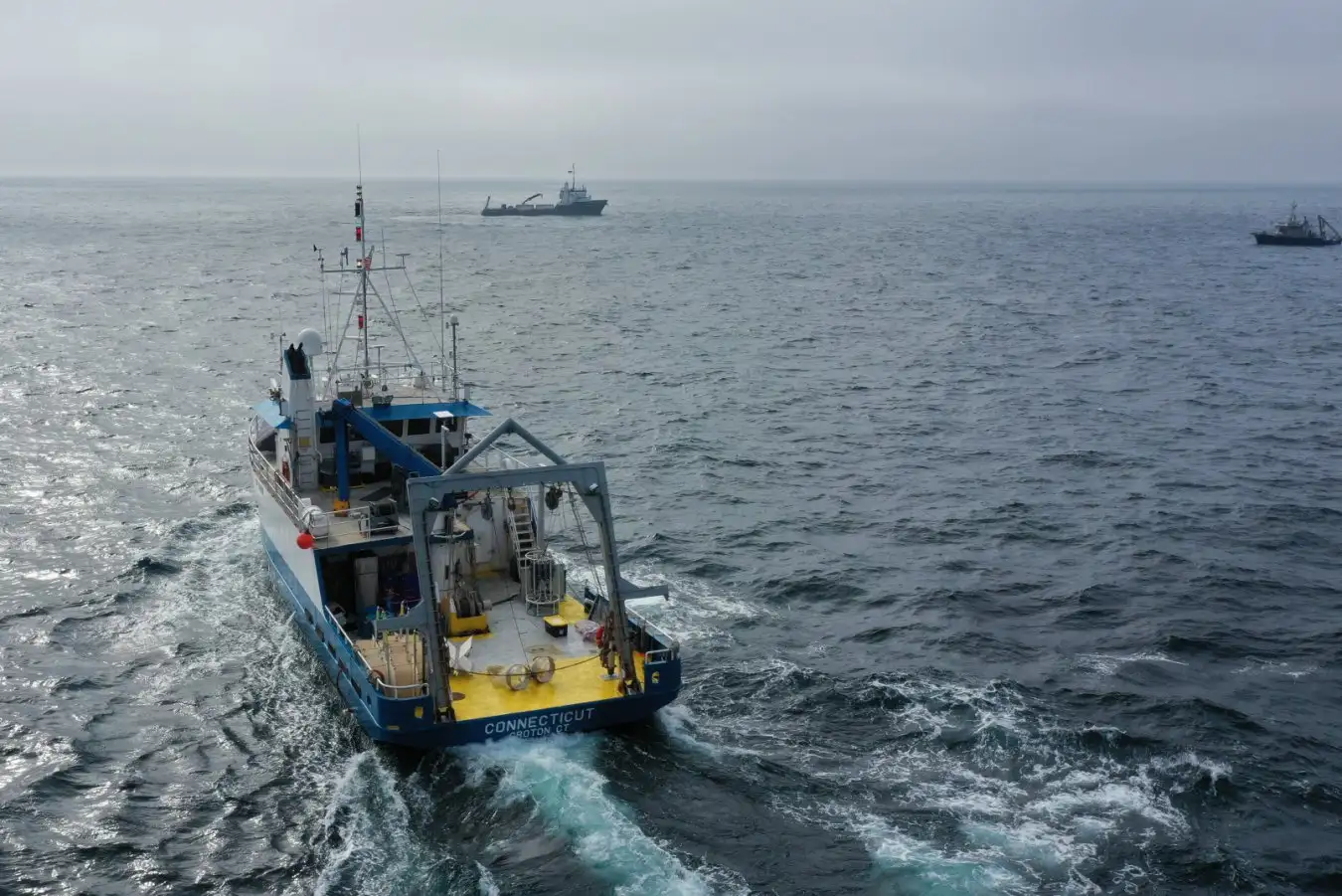 Marine Geoengineering Test Shows No Harm to Marine Life Findings