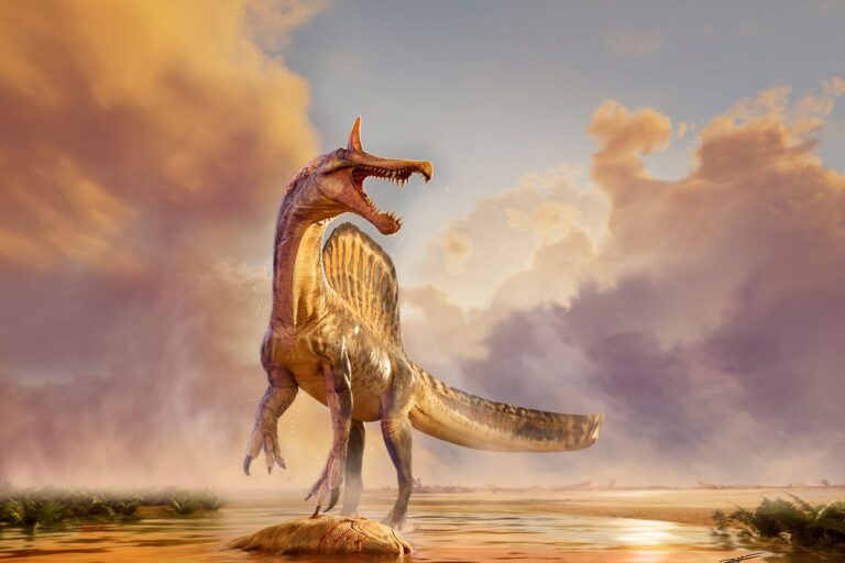 Massive New Dinosaur Species Unearthed in Sahara Desert Massive New Dinosaur Species Unearthed in Sahara Desert