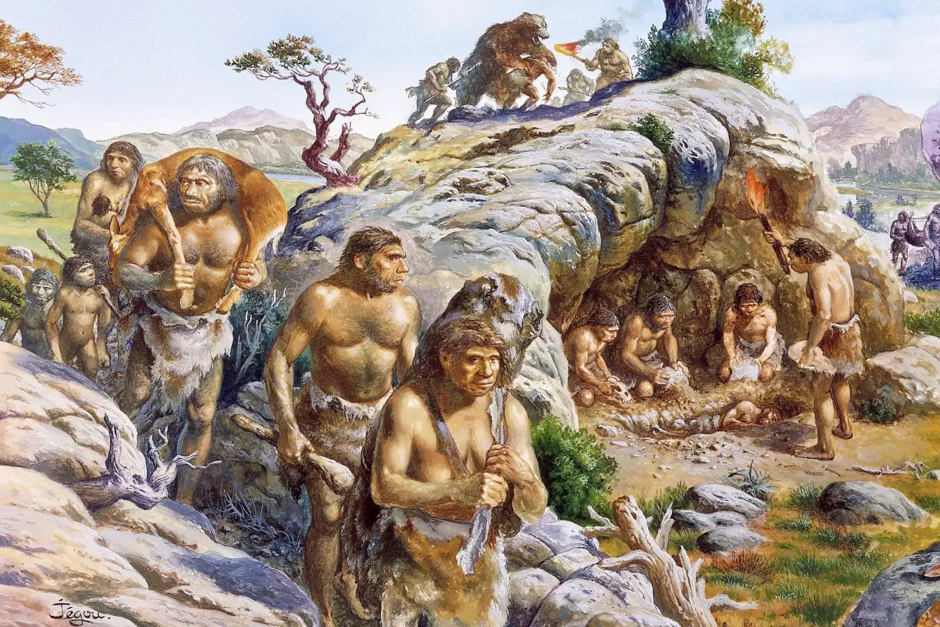 Neanderthal and Early Human Interbreeding Across Wide Regions What the