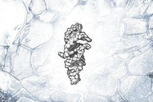 RNA Strands with Near Self Replication Potential The Key to Understanding the