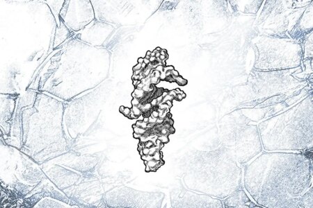 RNA Strands with Near-Self-Replication Potential: The Key to Understanding the Origin of Life RNA Strands with Near Self Replication Potential The Key to Understanding the