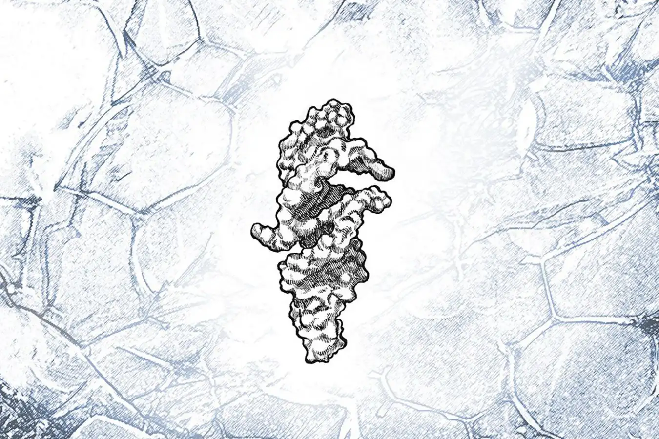 RNA Strands with Near Self Replication Potential The Key to Understanding the