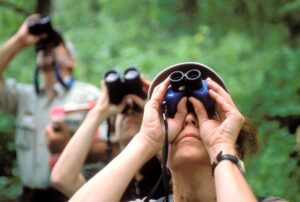 Revolutionary Study Reveals How Bird Watching Can Help Slow Aging