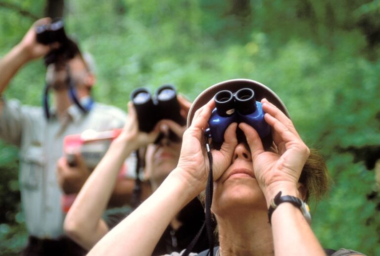 Revolutionary Study Reveals How Bird Watching Can Help Slow Aging Revolutionary Study Reveals How Bird Watching Can Help Slow Aging