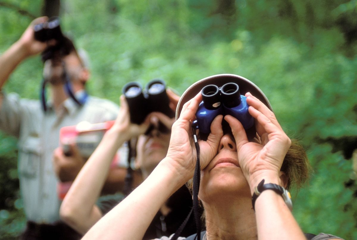 Revolutionary Study Reveals How Bird Watching Can Help Slow Aging