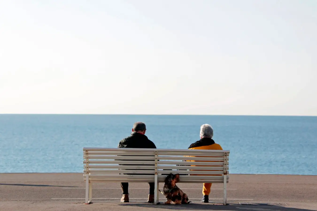 Scientific Insights on How to Live a Meaningful Life Scientific Insights on How to Live a Meaningful Life