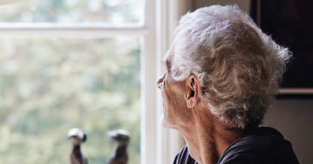 The Aging Brain: Essential Insights You Need to Know The Aging Brain Essential Insights You Need to Know