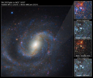 Webb Telescope Discovers Progenitor Star of NGC 1637 Supernova