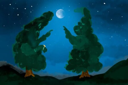 Why Spruce Trees Struggle to Predict Solar Eclipses Understanding Their